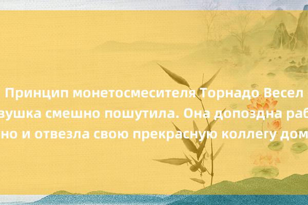 Принцип монетосмесителя Торнадо Веселая классическая девушка смешно пошутила. Она допоздна работала сверхурочно и отвезла свою прекрасную коллегу домой. Я остановил машину у ворот старого поселка и ск